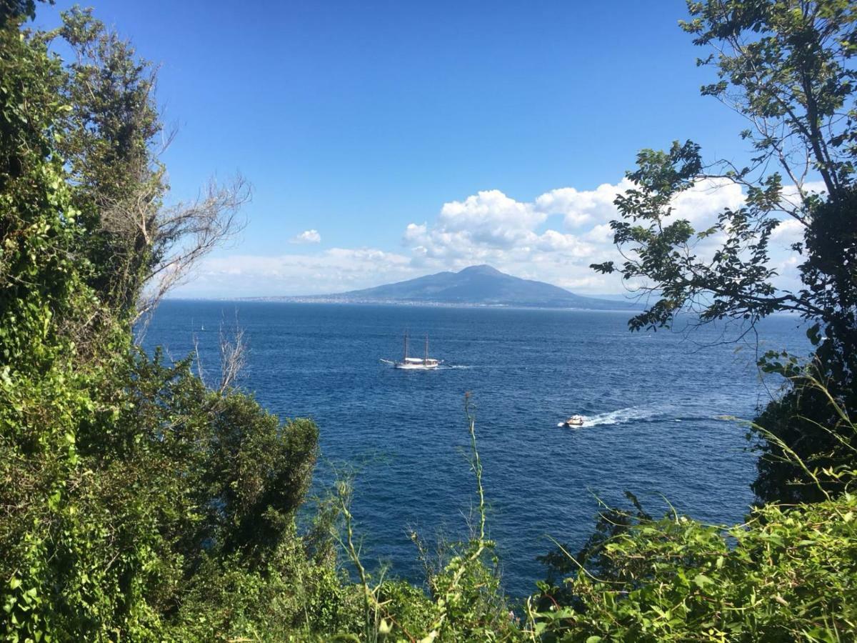 Terrazza Felicienne Διαμέρισμα Σορέντο Εξωτερικό φωτογραφία
